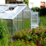 What To Grow In A Small Polytunnel? Benefits Discovered!
