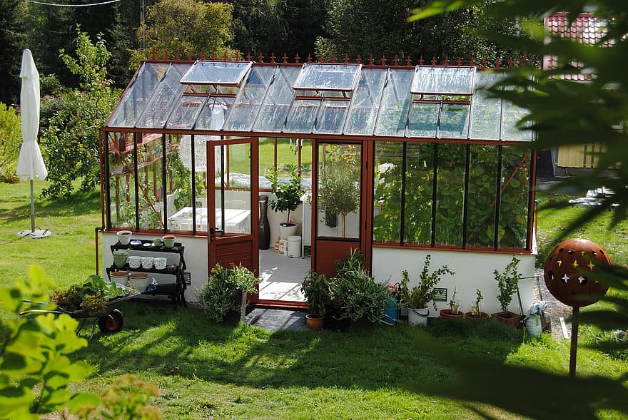 What To Grow In A Hobby Greenhouse