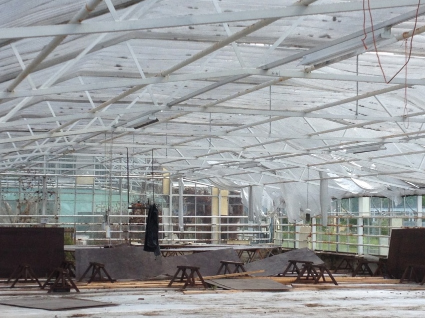 How To Choose Greenhouse Flooring|How To Choose Greenhouse Flooring