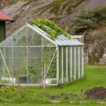 6 Steps How To Organise A Small Polytunnel Layout?