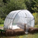 How To Build A Small Walk-In Greenhouse