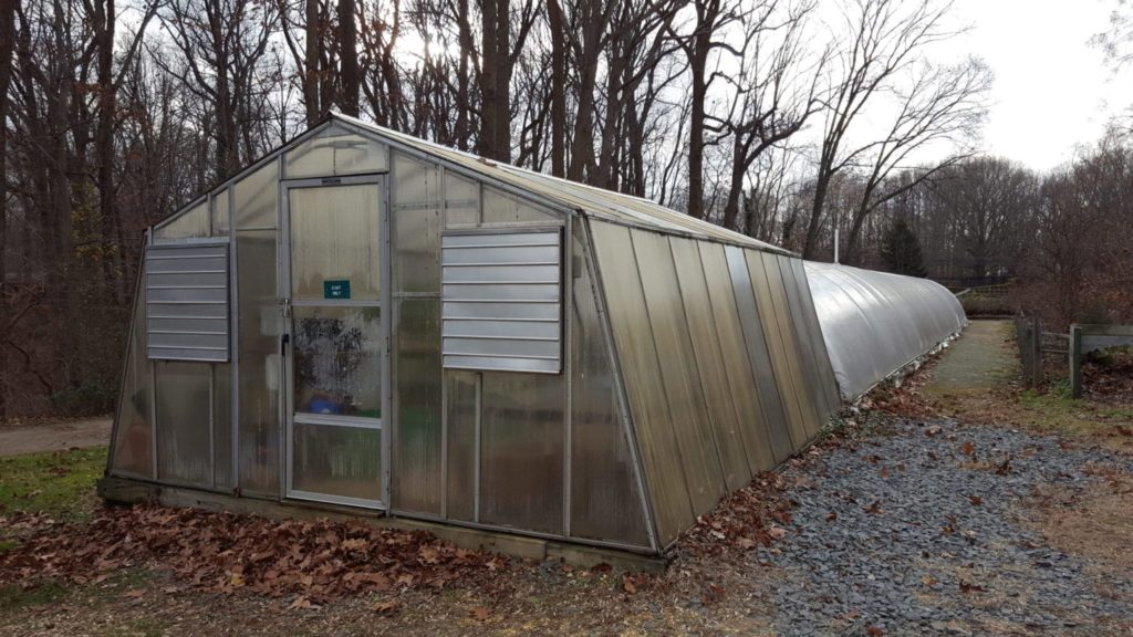 How to Convert a Greenhouse into a Chicken Coop
