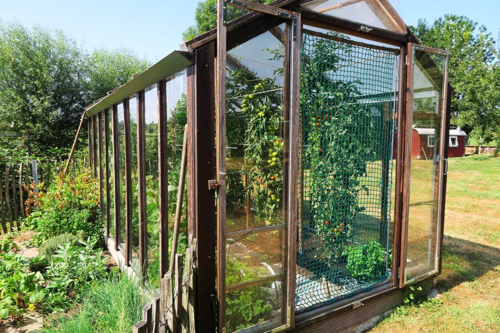 How To Make Money From A Hobby Greenhouse