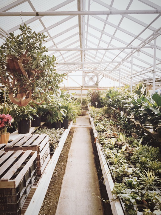 Where to Put a Greenhouse in Your Yard