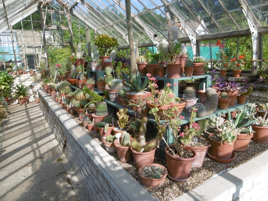 How Hot Can a Greenhouse Get