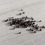 How To Plant Ferry Morse Seeds? 1 Bonus Secret!