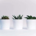 How To Clean Smart Pots The Correct Way