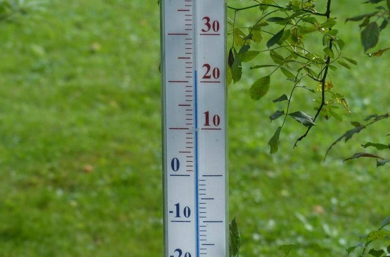 How to Measure Air Temperature in a Greenhouse