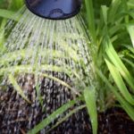 How to Acidify Water for Your Plants