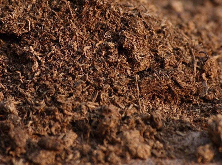 How to Spread Peat Moss for Your Plants in 3 Steps|How to Spread Peat Moss for Your Plants in 3 Steps