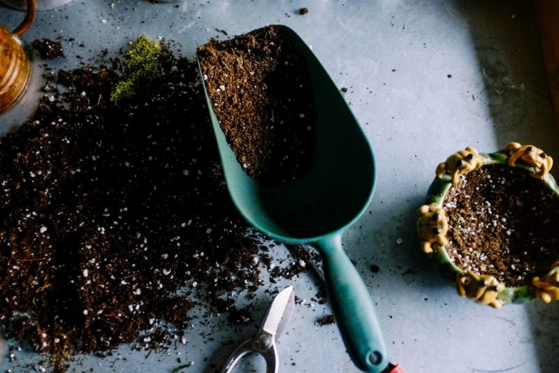 How To Dispose Of Potting Soil The Best Way|