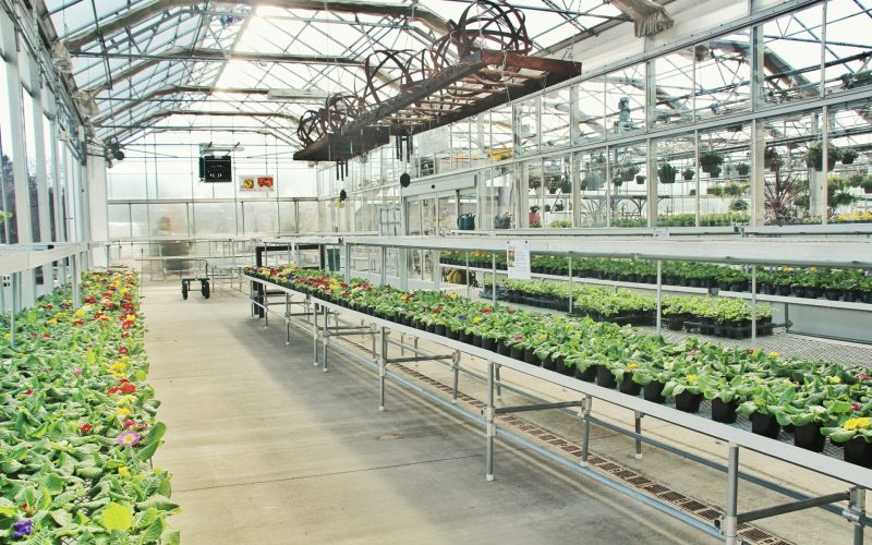 All About Greenhouse Temperature Difference