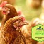 Benefits of own chicken coop