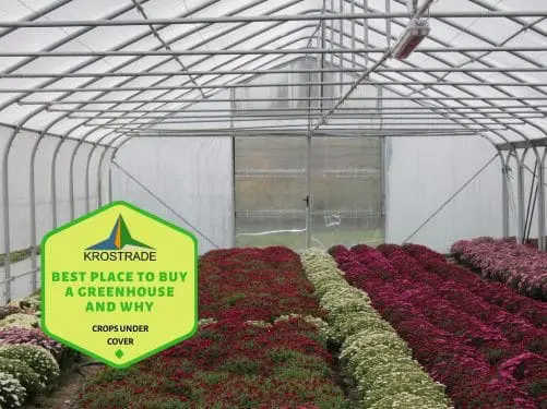 Best-Place-To-Buy-A-Greenhouse-And-Why-owuu54fh88t2ghc03aajpl2s1bwhc8iihkc4zm7b3a
