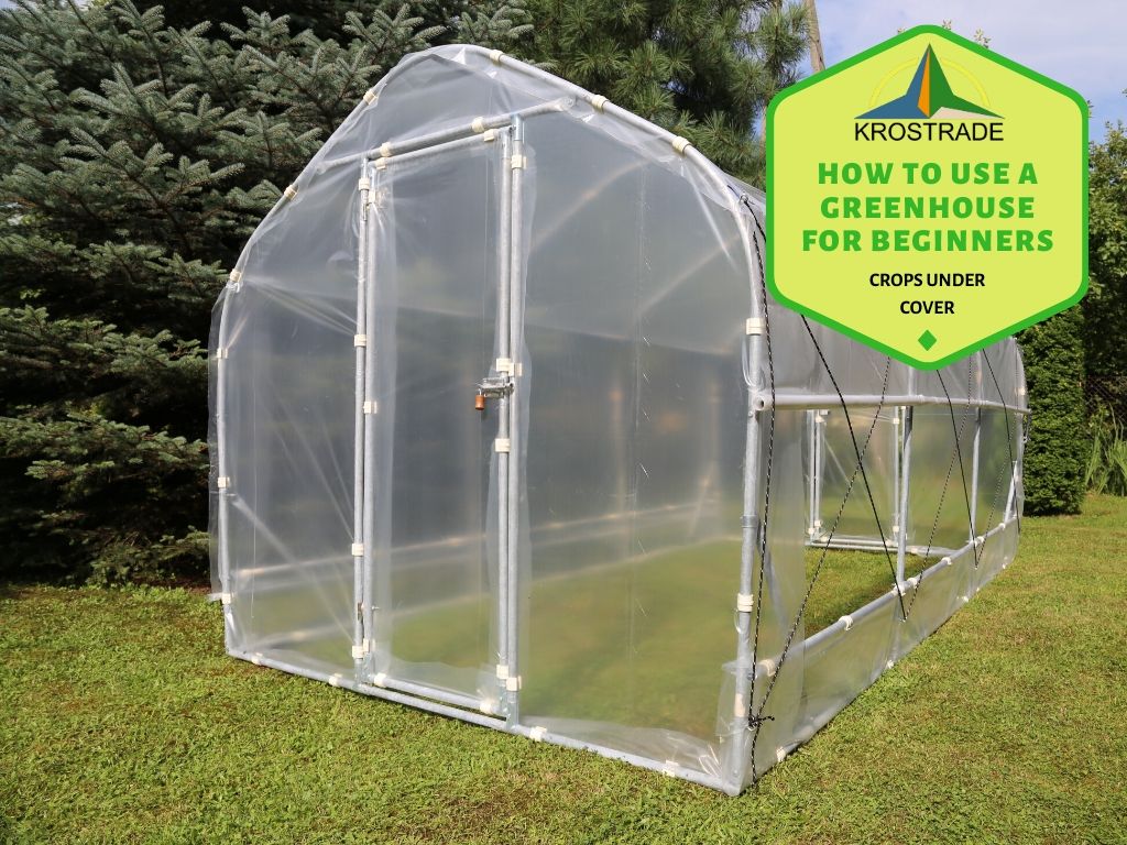 What To Grow In A Small Greenhouse