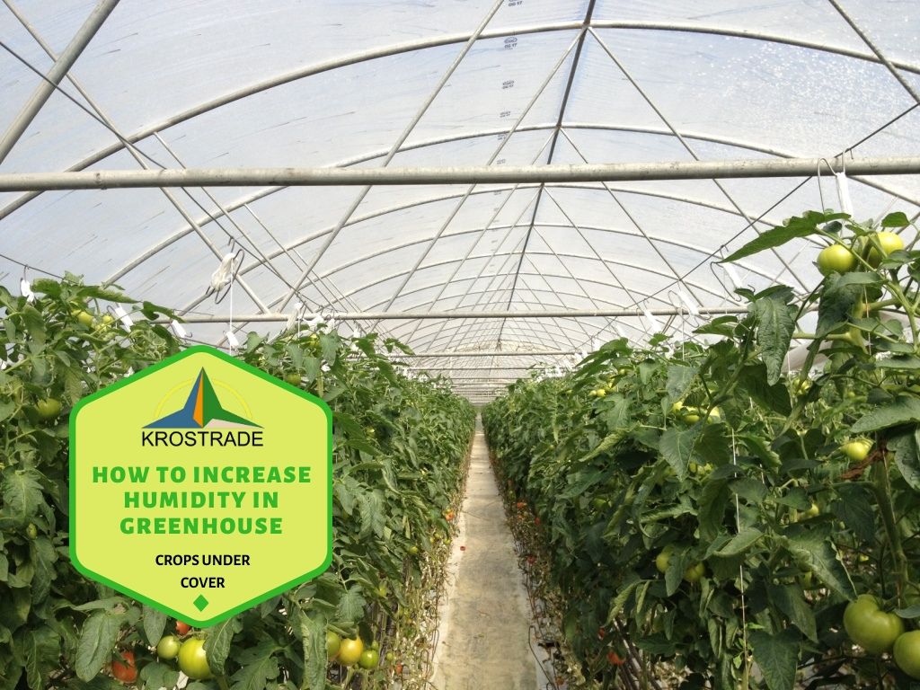 Ideal Humidity in a Greenhouse
