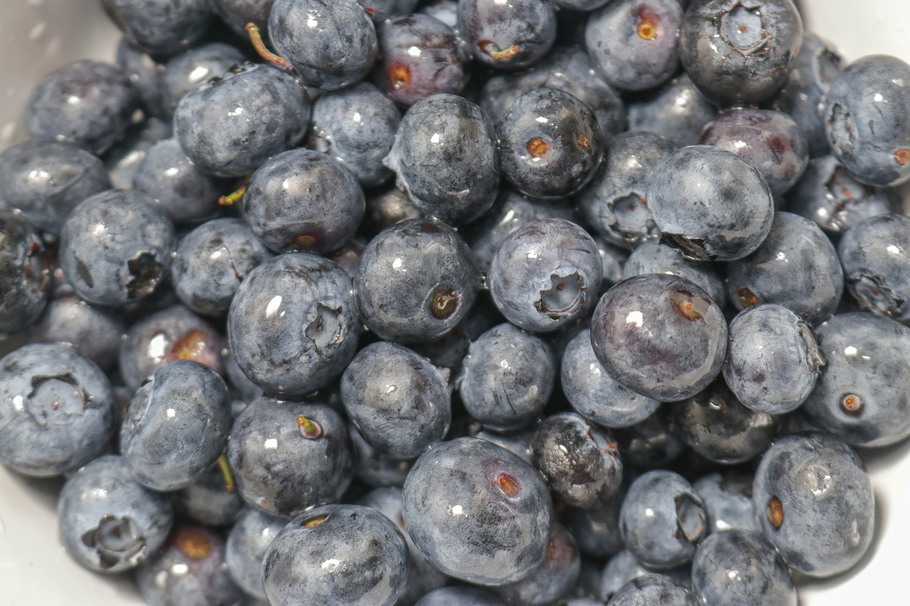 What Is Serving Size Of Blueberries Per Day