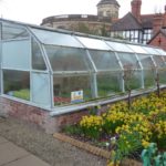 Walk-in Greenhouse vs Mini Greenhouse: Which is Better for Starting Plants