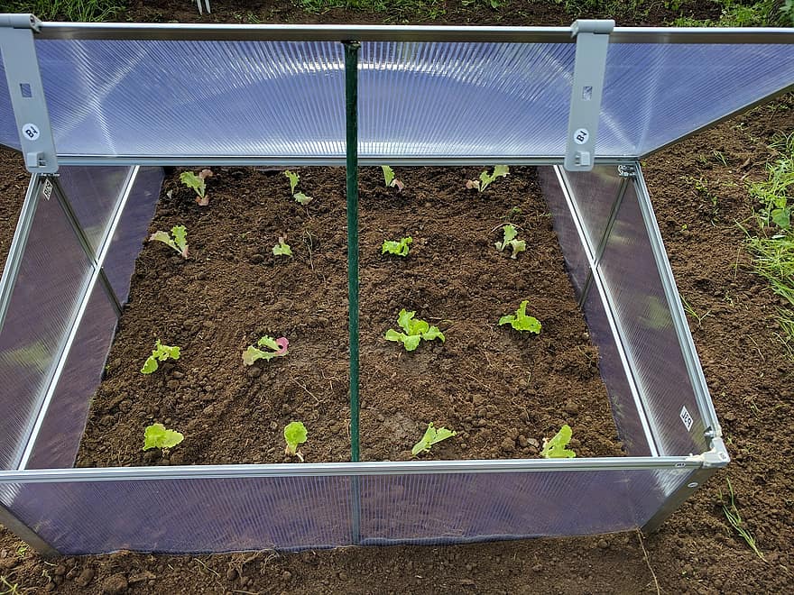 What Do Mini Greenhouses Need to be Successful