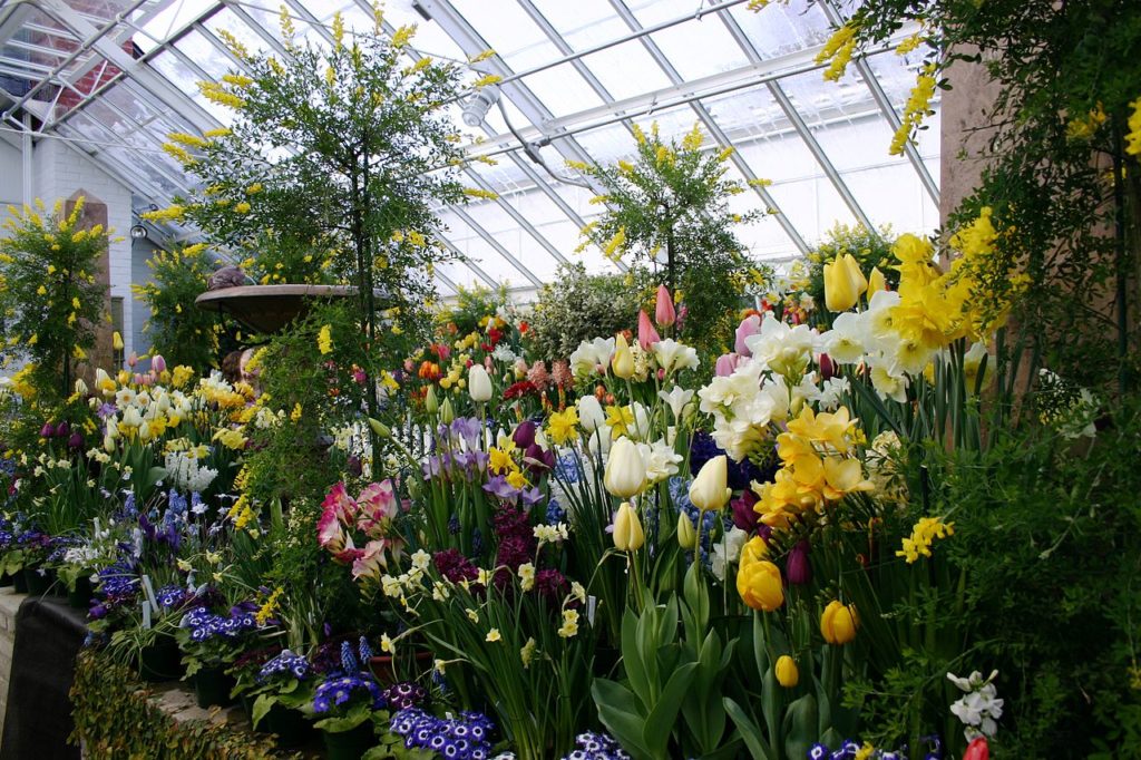 When To Start Planting Flowers In A Greenhouse In The Wisconsin Region