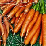When To Plant Carrots In The UK? 3 Bonus Tips!