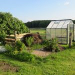 Where to Put a Greenhouse in Your Yard