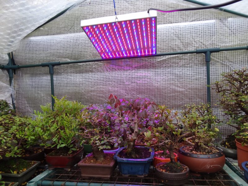 Which Gives Better Light For Growing Plants In A Greenhouse Fluorescent Or LED