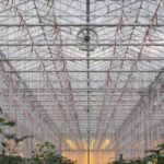 how to generate ventilation in a small greenhouse