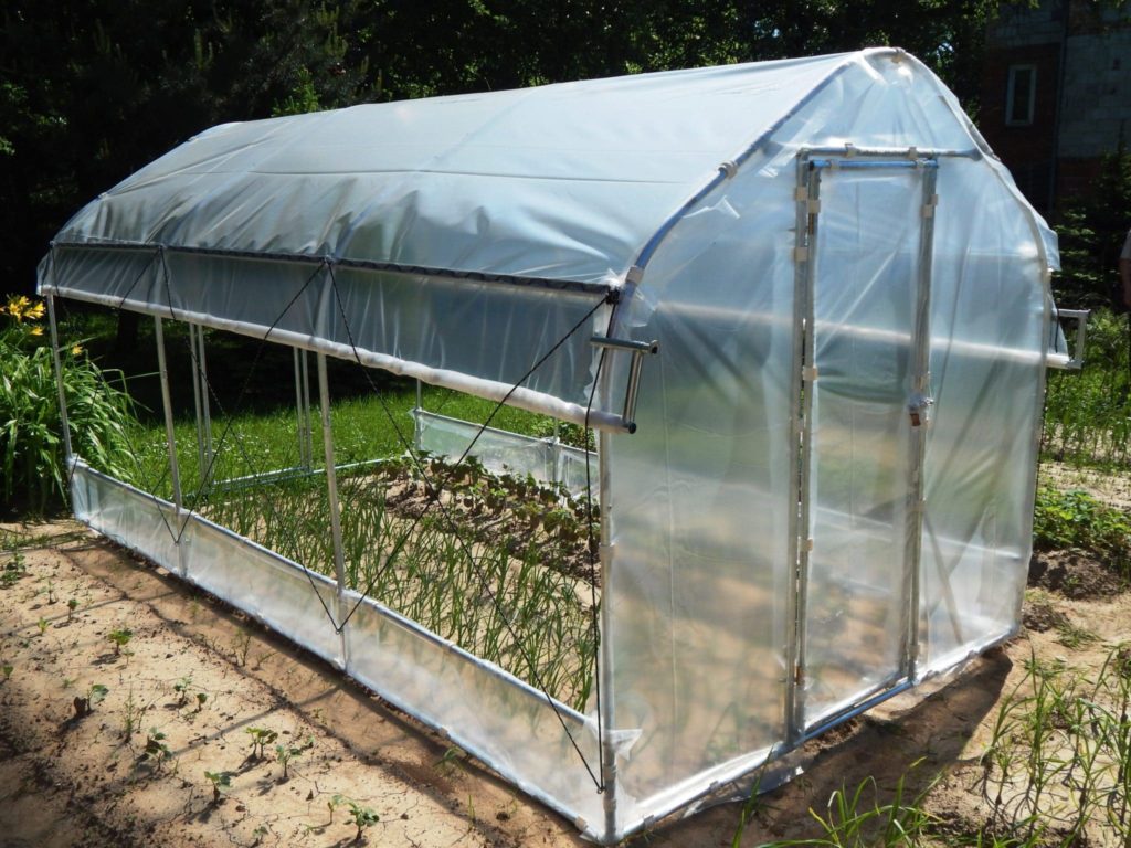 What Is A Good Size Hobby Polytunnel? Pros vs Cons!